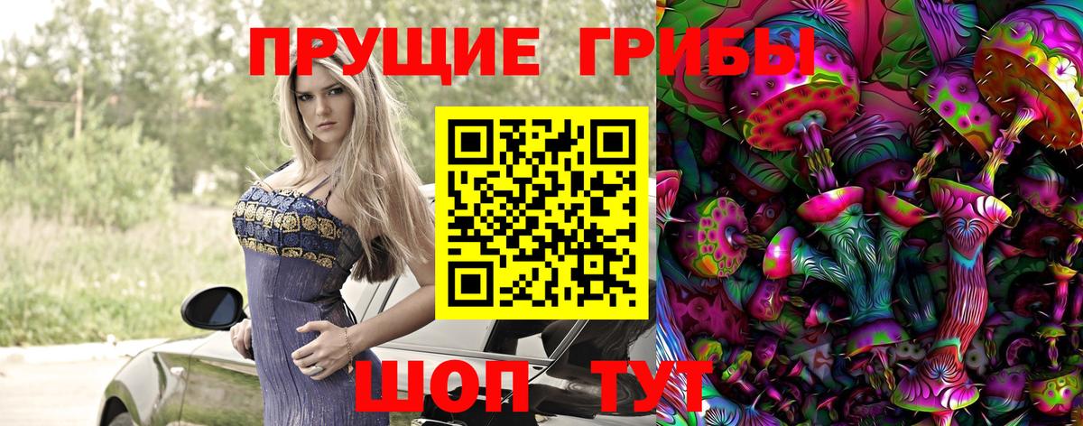 хочу наркоту  Галлюциногенные грибы MAGIC MUSHROOMS  Вход с VPN  Майский 